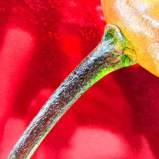 Limited Edition Handmade Glass- Gold Rose