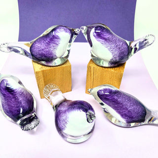 Glass Lavender Lovebird