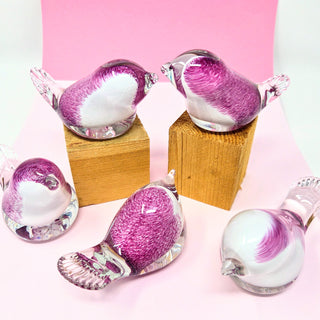 Glass Blushing Lovebird