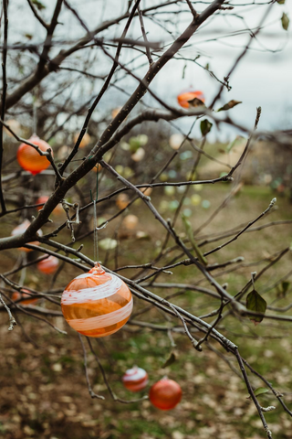 Glass ornament hanging in an apple tree