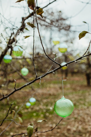 Glass ornament hanging in an apple tree