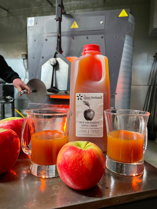 Two glasses of apple cider next to jug and apples on display in glass blowing hotshop