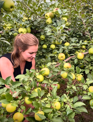 Woman picking apples off the tree at The Glass Orchard