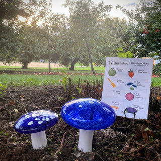 Two blue glass mushrooms planted in the ground with The Glass Orchard scavenger hunt flyer behind them. 