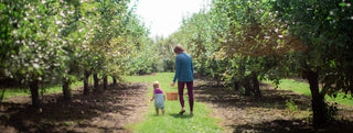 Mother and toddler walking through the rows of apple trees with a basket